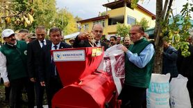 Akkuş Şeker Fasulyesi Hasadı Başladı