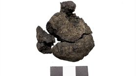 Anadolu'nun Tarih Boyunca Sofra Kültürü: 4 Bin Yıllık Nohut ve 8 Bin 600 Yıllık Ekmek Kalıntıları