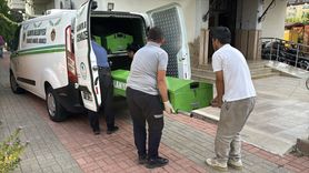 Antalya'da Yabancı Uyruklu Şahıs Evinde Hayatını Kaybetti