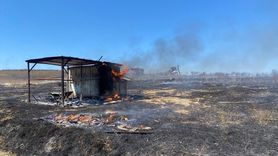 Antalya'da Yangın: 25 Güvercin Hayatını Kaybetti