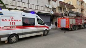 Antalya'da Yangın Anında Muhabbet Kuşu Kurtarıldı