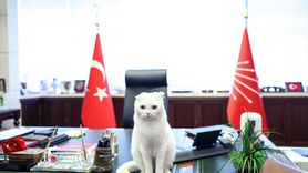 CHP Genel Başkanı Özgür Özel'den Hayvanları Koruma Günü Mesajı