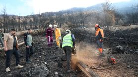 Denizli ve Uşak’ta 20 Yılda 306 Milyon Fidan