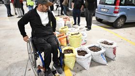 Düzce'de Kestane Mezatı Başladı