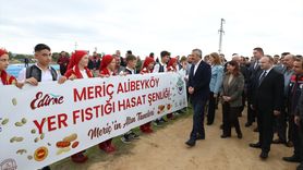 Edirne Fıstık Festivali: En Güzel Fıstık Belirlendi