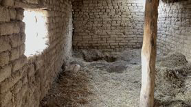 Eskişehir'de 14 Yıldır Kayıp Kardeşin Ölümü: Zanlı Tutuklandı