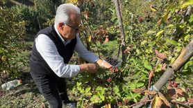 Giresun'da Ahududu ve Böğürtlen Projesi Üreticilere Destek Oluyor