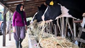 Kadın Girişimci Esra Küçük, Devlet Desteğiyle Çiftlik Sahibi Oldu