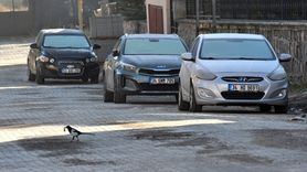 Kars'ta Soğuk Hava Etkisini Sürdürüyor