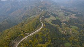 Kastamonu Ormanlarında Sonbahar Renk Cümbüşü