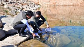 Kırşehir'de 3 Bin Kırmızı Benekli Alabalık Gölete Salındı