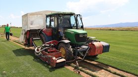 Küçük Bir Köyde Büyük Bir Başarı: Rulo Çim Üretimi