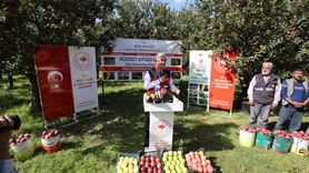 Muş'ta Elma Hasadı 100 Milyon Lira Gelir Beklentisiyle Başladı