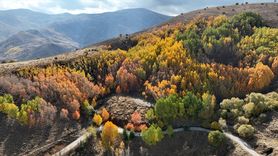 Muş'ta Gençlerden Doğa Yürüyüşü