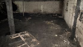 Niğde'de 170 Koyun Yangında Telef Oldu