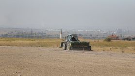 Niğde'de Yem Bitkileri Üzerine Önemli Çalışmalar