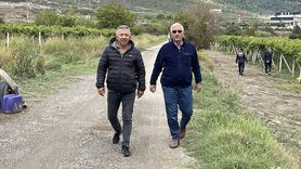 Sakarya'da Üzüm Üreticileri Jandarma ile Nöbetteler