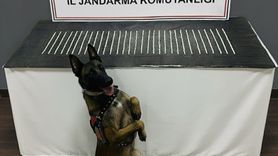 Şanlıurfa'da Uyuşturucu Operasyonu: 4 Şüpheli Gözaltında