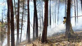 Sarıkamış'taki Orman Yangını 1,5 Hektar Alanı Kül Etti
