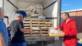 Sinop'ta 3 Bin Palamut Avlandı