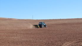 Sivas'ta Yerli Buğday ve Arpa Çeşitleri İçin Deneme Ekimi Başlatıldı