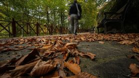 Suuçtu Şelalesi Sonbahar Güzellikleriyle Büyülüyor