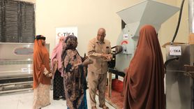 TİKA Somali'de Manyok Üreticilerine Ekipman Desteği Sağladı