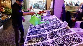 Trabzon'da Hamsi Fiyatları 100 Lira