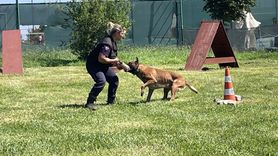 Trabzon'da Köpekli Arama Kurtarma Merkezi Faaliyete Geçti