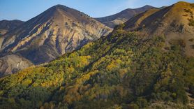 Tunceli'nin Ormanları Sonbahar Renklerine Büründü