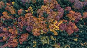 Uludağ'da Sonbahar Renklerinin Keyfi