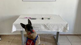 Van'da Sentetik Hap Operasyonu: İran Uyruklu Şüpheli Yakalandı