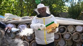 Van'da Turistler Bal Hasadı Yaptı