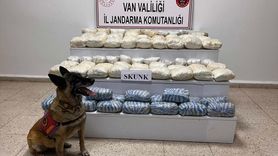 Van'da Uyuşturucu Operasyonu: 47 Kilo Skunk Ele Geçirildi