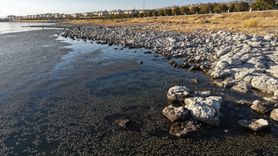 Van Gölü'nde Yosun Tabakası Oluşumu Tehlike Saçıyor