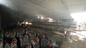 Antalya'daki Meyve Sebze Paketleme Tesisinde Yangın