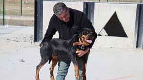 Erzincan'da Köpeklere Arama Kurtarma Eğitimi Başladı