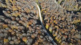 Nebiyan Dağı'nda Sonbaharın Güzellikleri