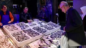 Trabzon'da Hamsi Bolluğu Devam Ediyor