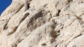 Van'da Kayalıklarda Mahsur Kalan Şahıs Kurtarıldı