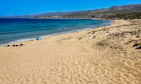 Belçika'da Plaj Kıyafeti Tartışması: Üstsüz Dolaşma Yasağı Gündemde