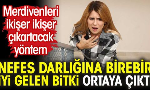 Tatula Bitkisi Astıma İyi Geliyor