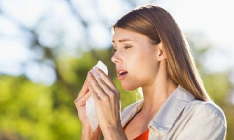 Yaz Gribinden Korunmanın Yolları