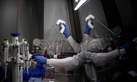 Japon Bilim İnsanlarından Çığır Açan Keşif: Yeni Bir Kanser Tedavisi Umut Işığı