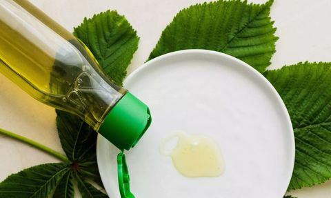 Sivrisineklerin Bazı İnsanları Daha Fazla Isırdığı ve Kurtulma Yöntemleri