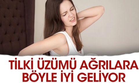 Tilki Üzümü Romatizmaya İyi Geliyor