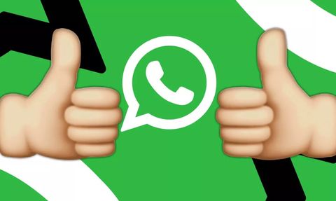 Kanada'da Çiftçi, Emojili Mesaj Nedeniyle 61 Bin Dolar Cezaya Çarptırıldı