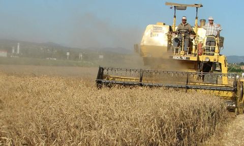 Tarımsal Girdi Fiyat Endeksi Artış Gösterdi