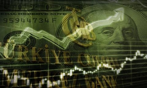 Merkez Bankası Yeniden Döviz Satmaya Başladı!