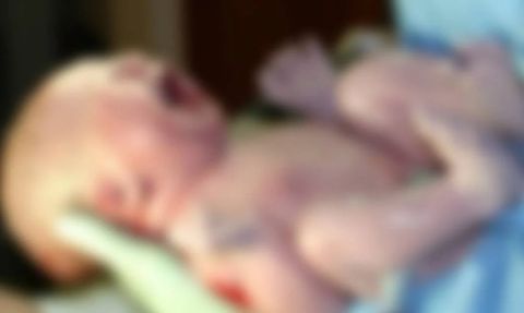 Yeni Doğan Bebeği, Yabani Kedi Kaçırırken Çatıdan Düşürdü: Bebek Kurtarılamadı